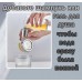 Удлинитель для смесителя с лейкой Насадка для душа с фильтром Shampoo Artifact Series Shower-artifact 
