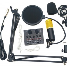 Конденсаторный студийный микрофон с кронштейном и с двумя поп-фильтрами и звуковой картой Professional condenser microphone BM-800